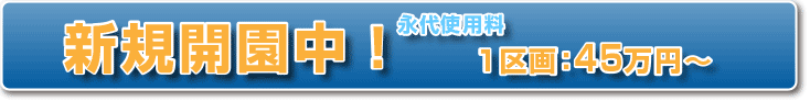新規分譲中