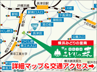 詳細マップ＆交通アクセス